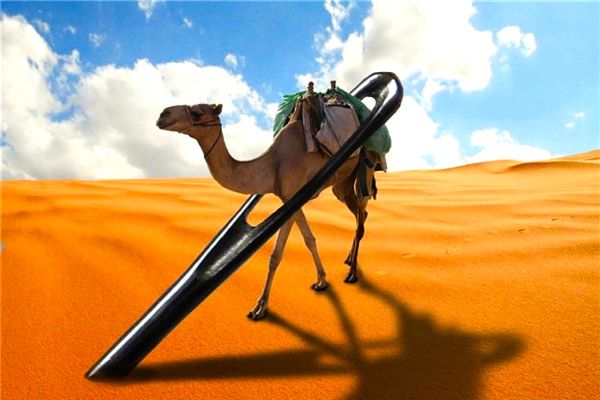 Door het oog van de naald | Volumus